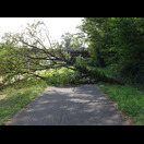 Ein mit viel Gepäck am Rad nicht leicht zu umfahrendes Hindernis